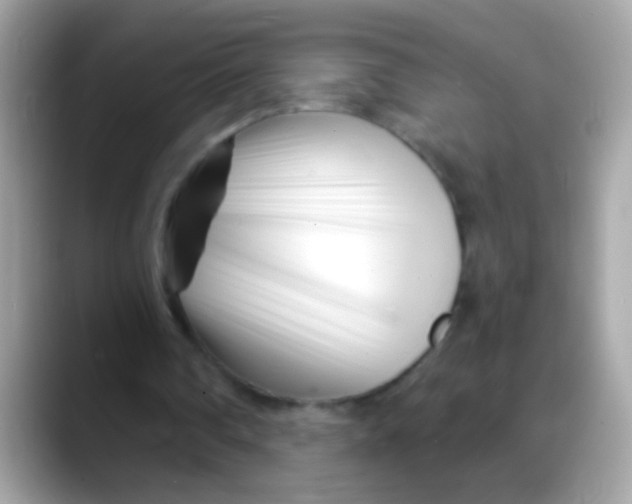 X0000088040290200706011329