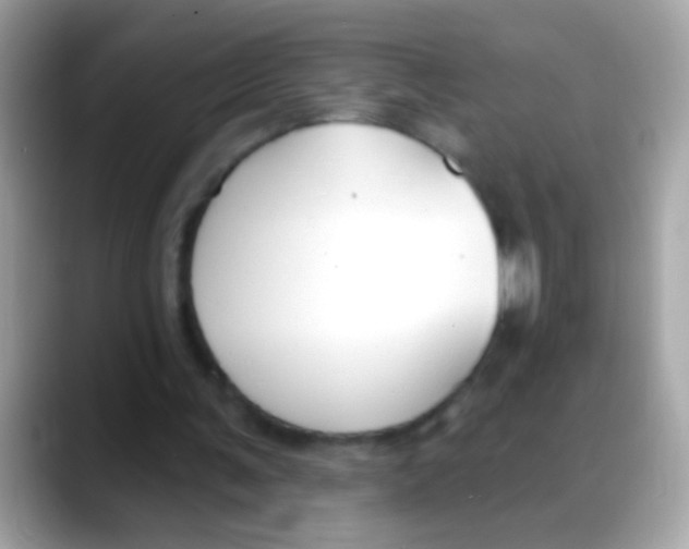 X0000088040291200706011329