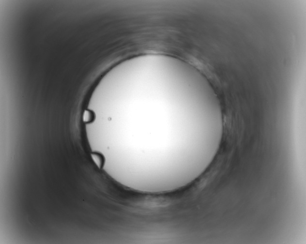 X0000088040292200706011329