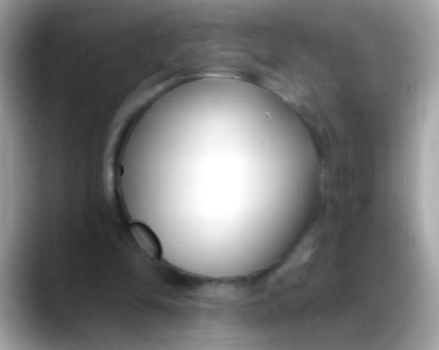 X0000088040294200706011329