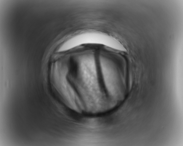 X0000088040295200706011329