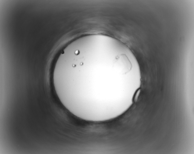 X0000088040296200706011329