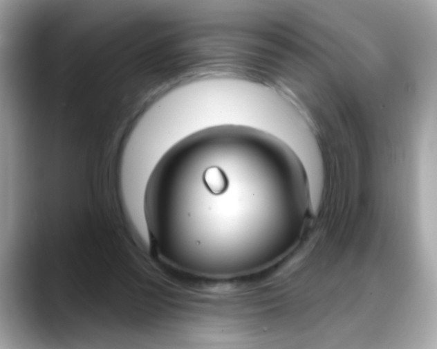 X0000088040301200706011329