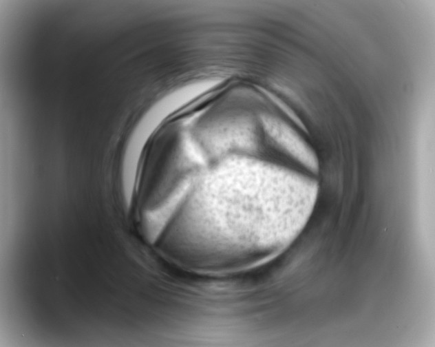 X0000088040303200706011329