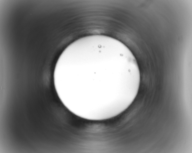 X0000088040304200706011329