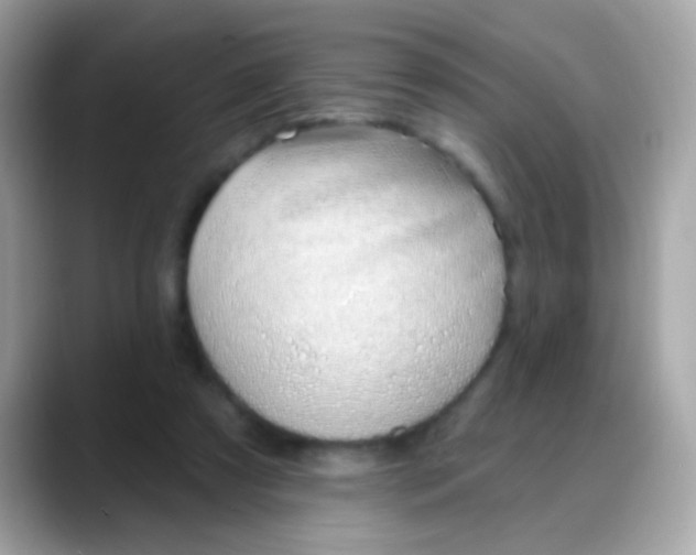 X0000088040305200706011329