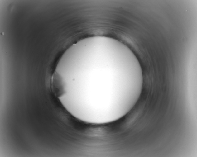 X0000088040307200706011329