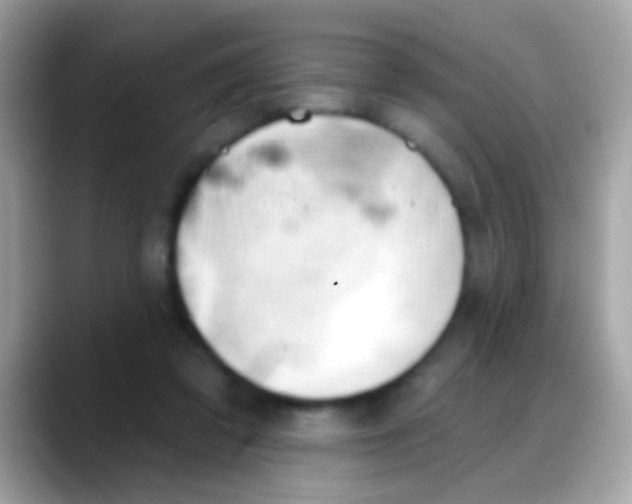 X0000088040309200706011329