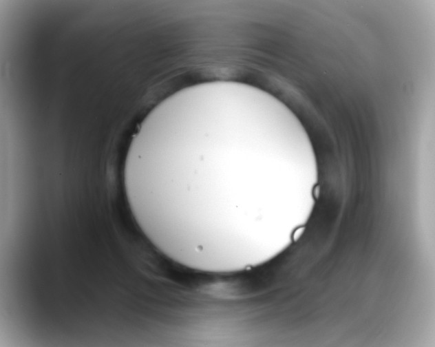 X0000088040312200706011329