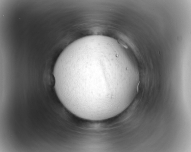 X0000088040313200706011329