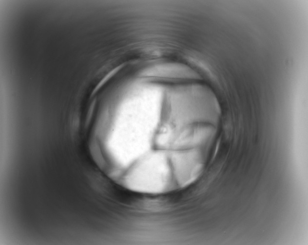 X0000088040314200706011329