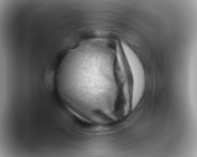 X0000088040319200706011329