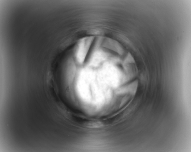 X0000088040322200706011329