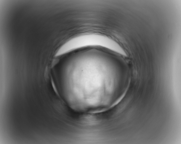 X0000088040325200706011329