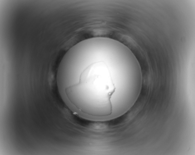 X0000088040327200706011328