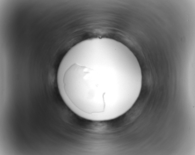 X0000088040328200706011328