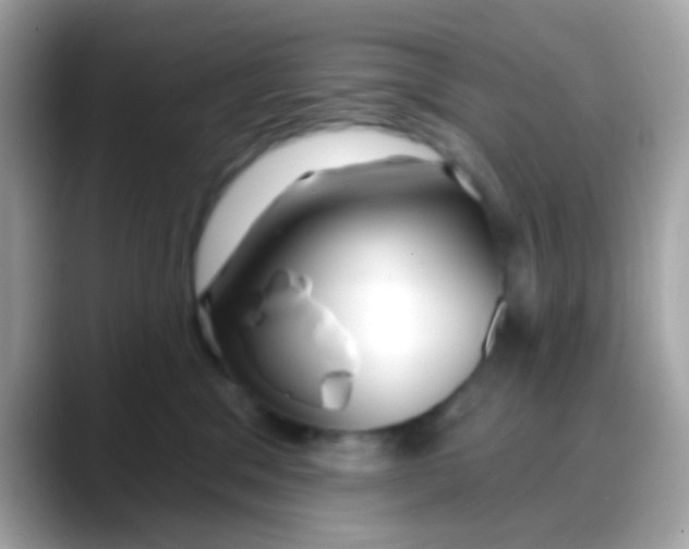 X0000088040329200706011328