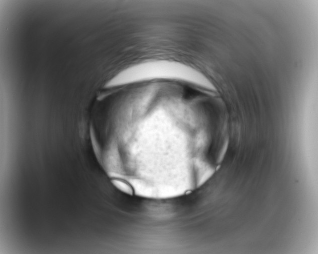 X0000088040331200706011328