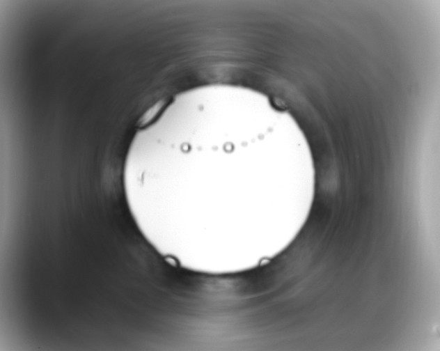 X0000088040332200706011328