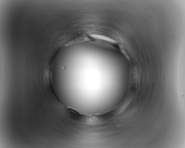 X0000088040333200706011328