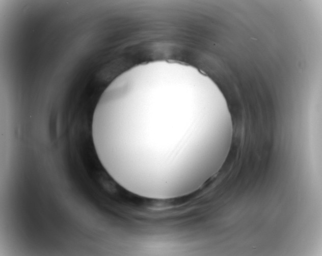 X0000088040335200706011328