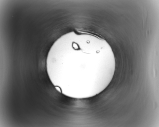 X0000088040336200706011328