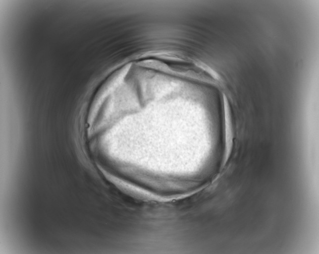 X0000088040337200706011328