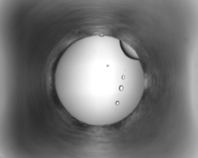 X0000088040339200706011328