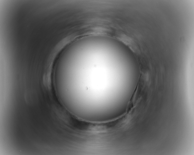 X0000088040340200706011328