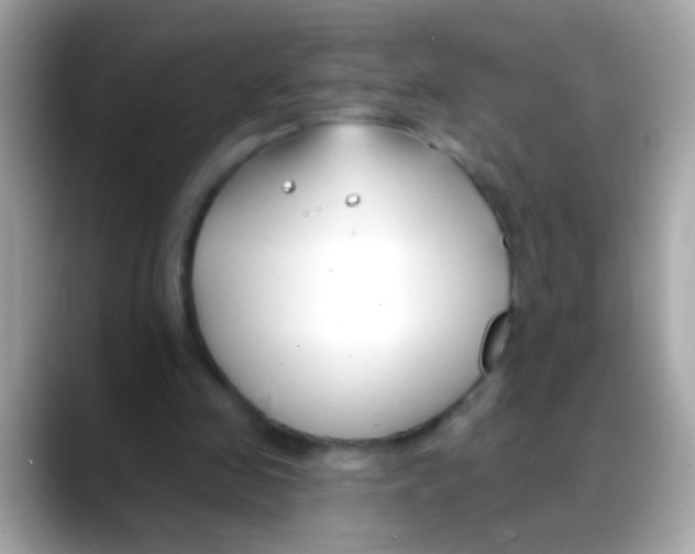 X0000088040341200706011328