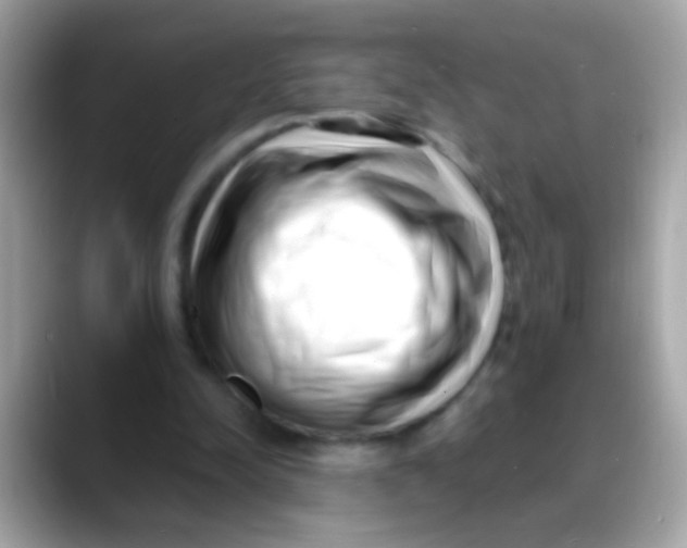 X0000088040342200706011328