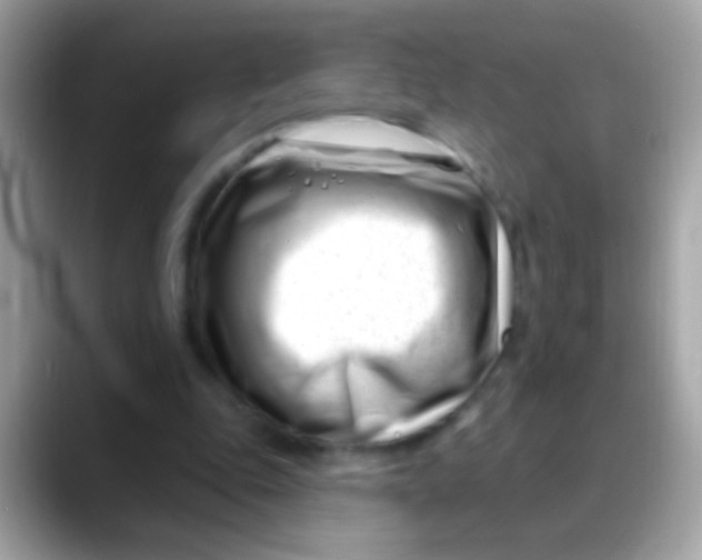 X0000088040343200706011328