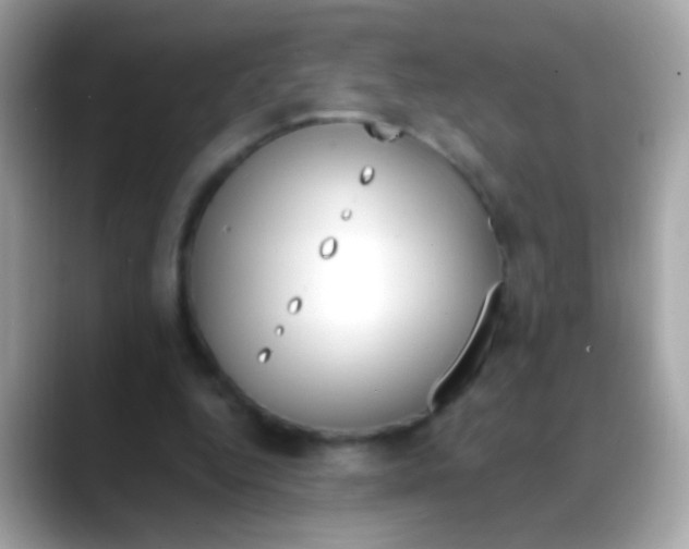 X0000088040344200706011328