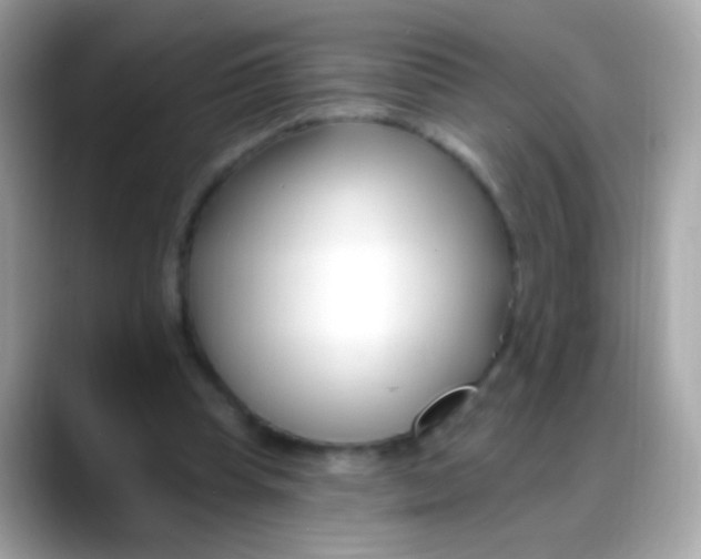 X0000088040345200706011328