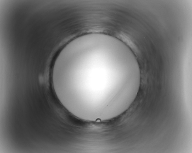 X0000088040346200706011328