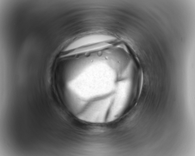 X0000088040347200706011328