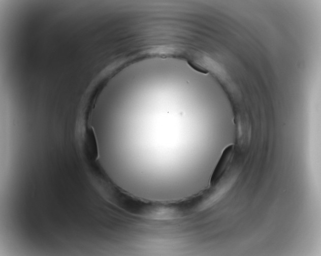 X0000088040348200706011328