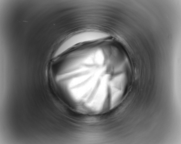 X0000088040349200706011328