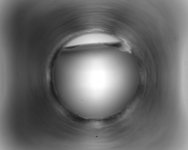 X0000088040350200706011328