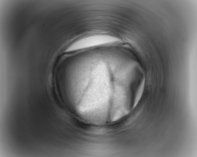 X0000088040351200706011328