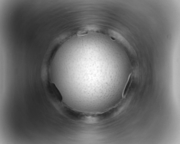 X0000088040352200706011328