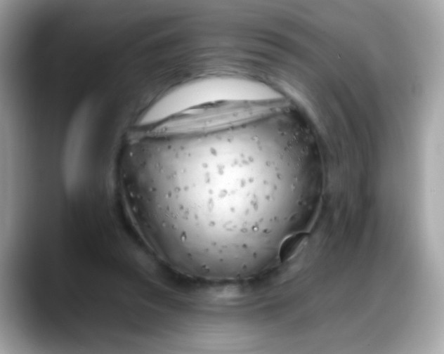 X0000088040353200706011328