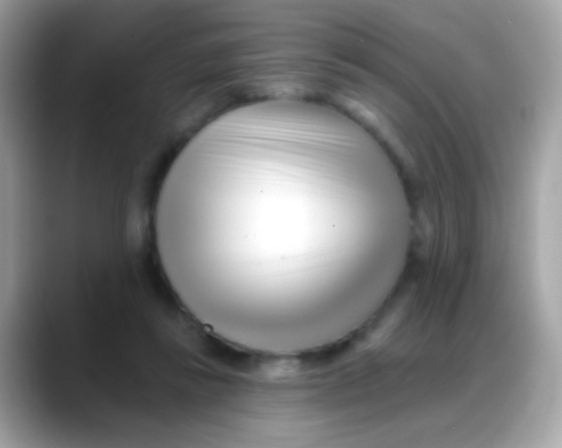 X0000088040355200706011328