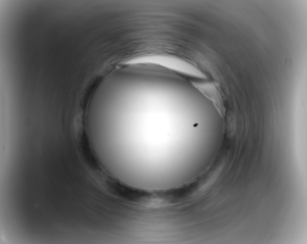 X0000088040356200706011328