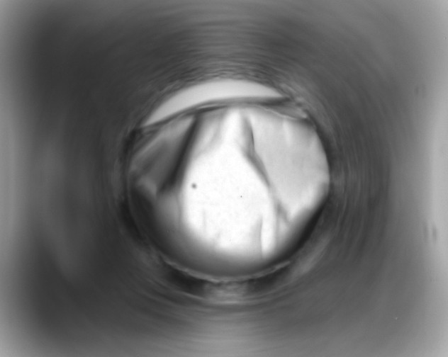 X0000088040359200706011328