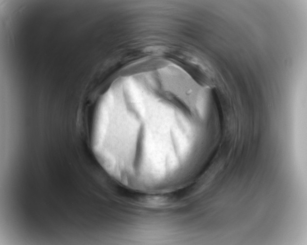 X0000088040361200706011328