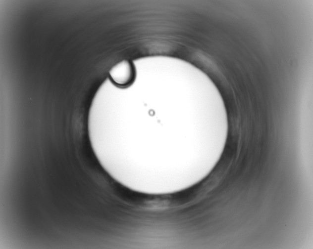 X0000088040362200706011328