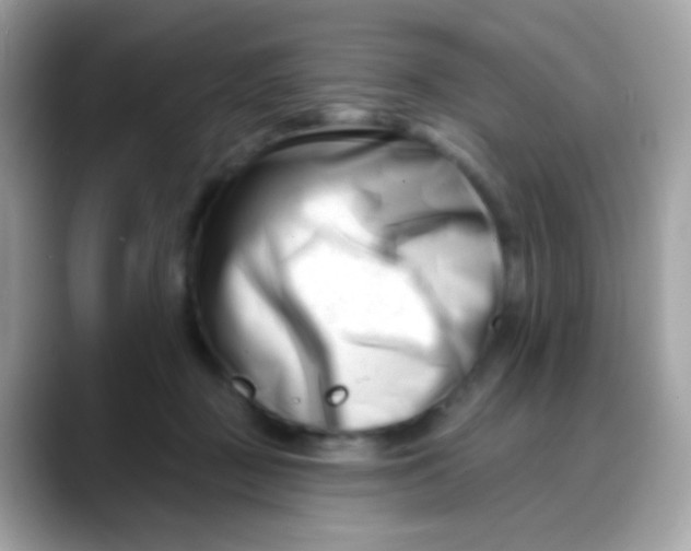 X0000088040363200706011328