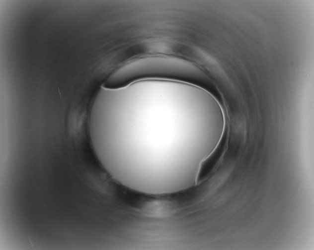 X0000088040364200706011328