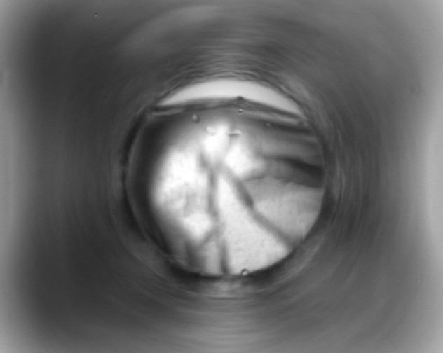 X0000088040366200706011328